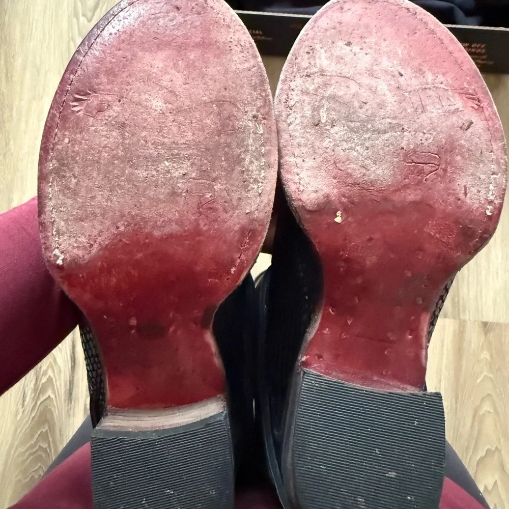 Freebird Coal black Snake - Picture 9 of 9